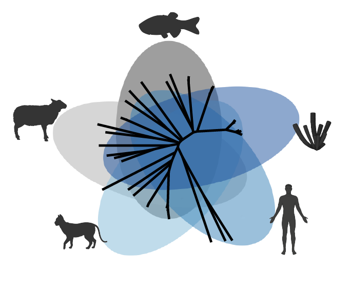 Venn diagram of host-microbe interactions across animals